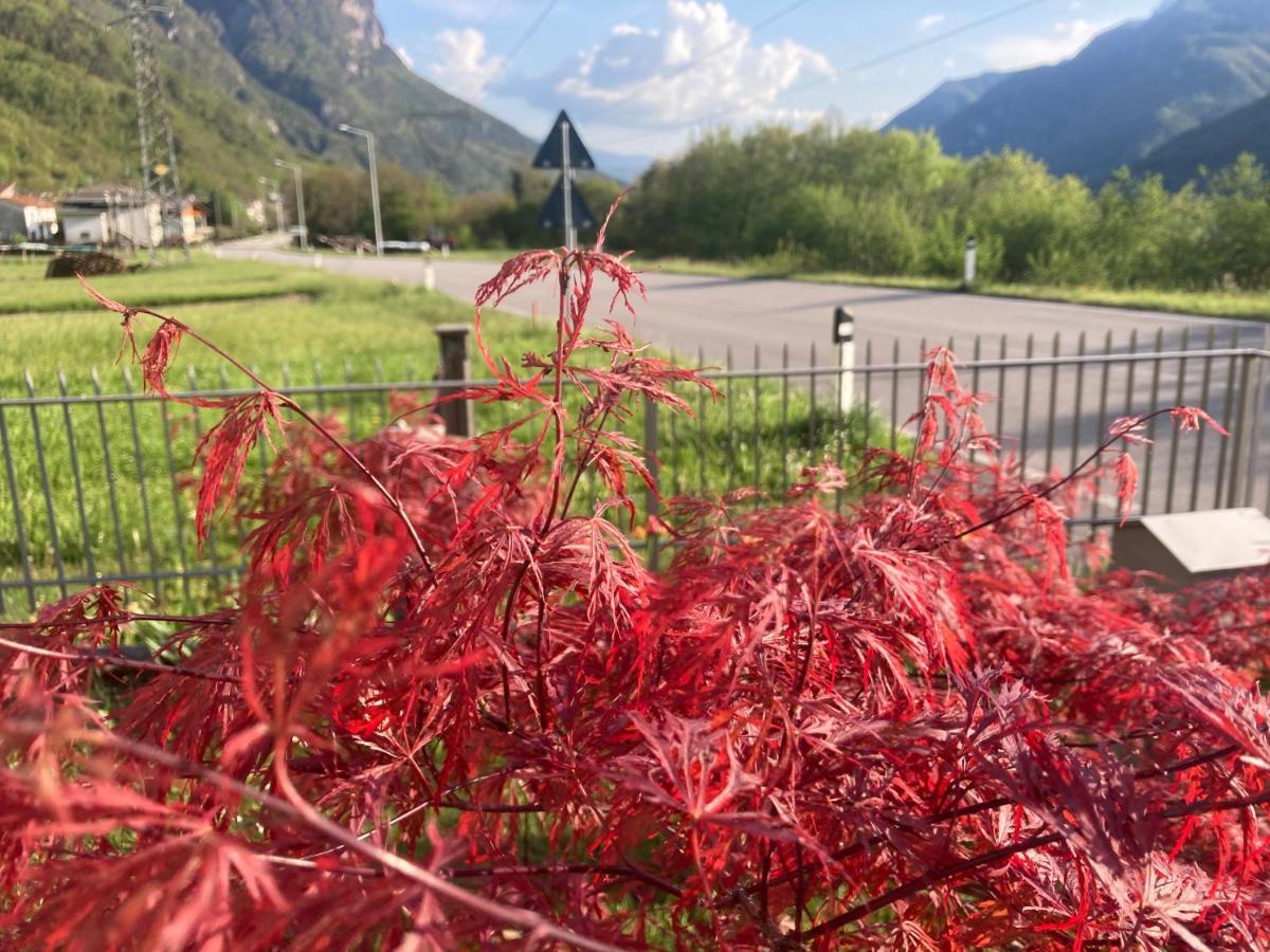 Meraki Dolomiti Longarone Kültér fotó